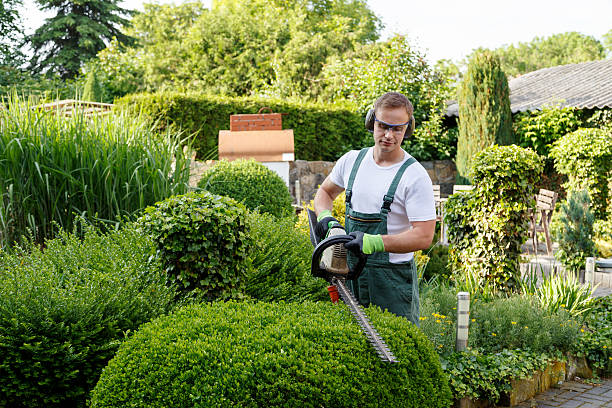 Best Hazardous Tree Removal  in East Bethel, MN